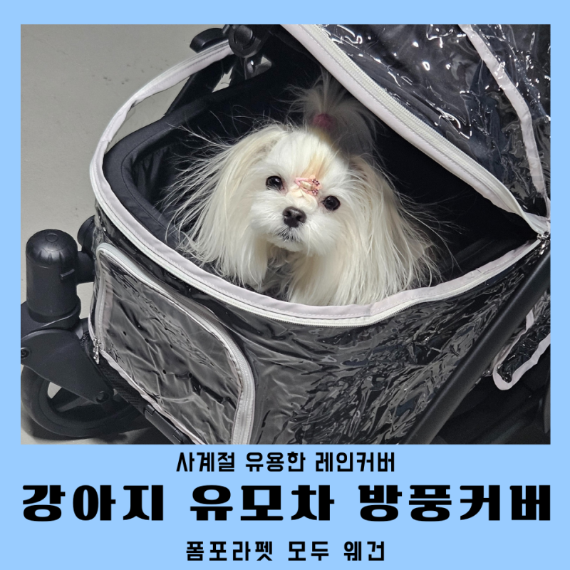 강아지 유모차 방풍커버 폼포라펫 레인커버 리뷰