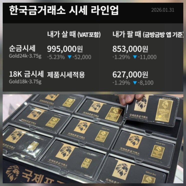 금시세 금 은 급락 배경 분석 가격 전망