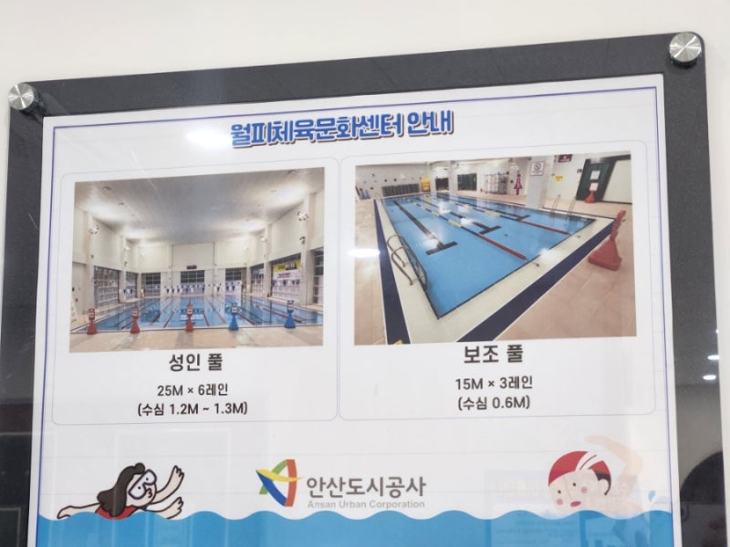 [수영장]★ 안산 월피체육문화센터 수영장