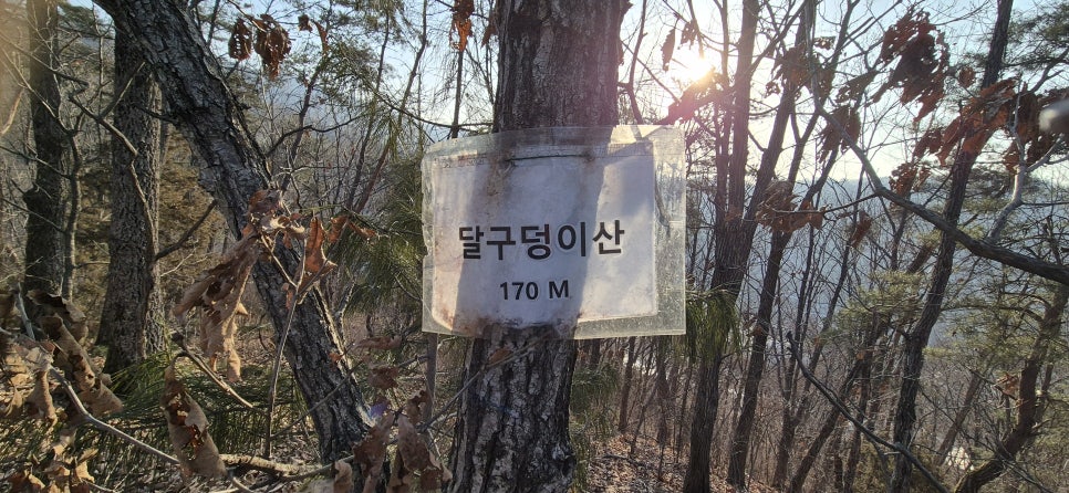 달구덩이산 사진 3