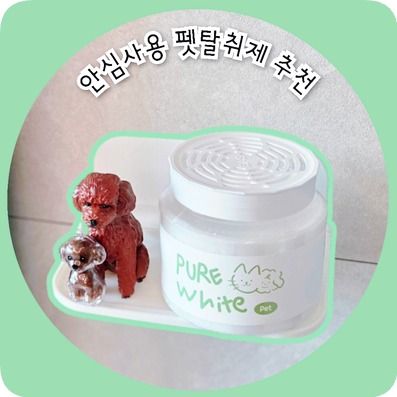 바스 펫 탈취제 강아지탈취제 사용후기!