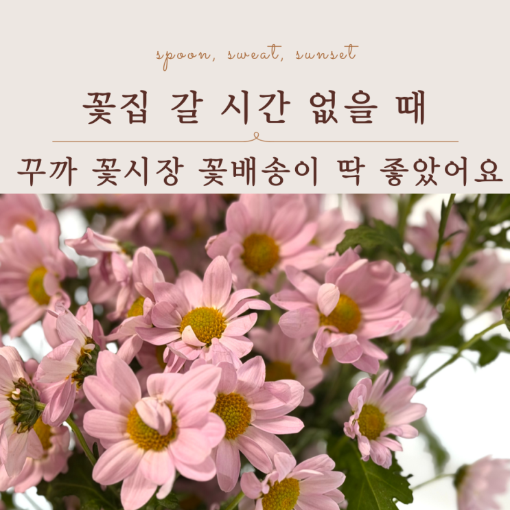  꾸까 꽃시장 꽃배송 직접 이용 후기｜집에서 생화 즐기기
