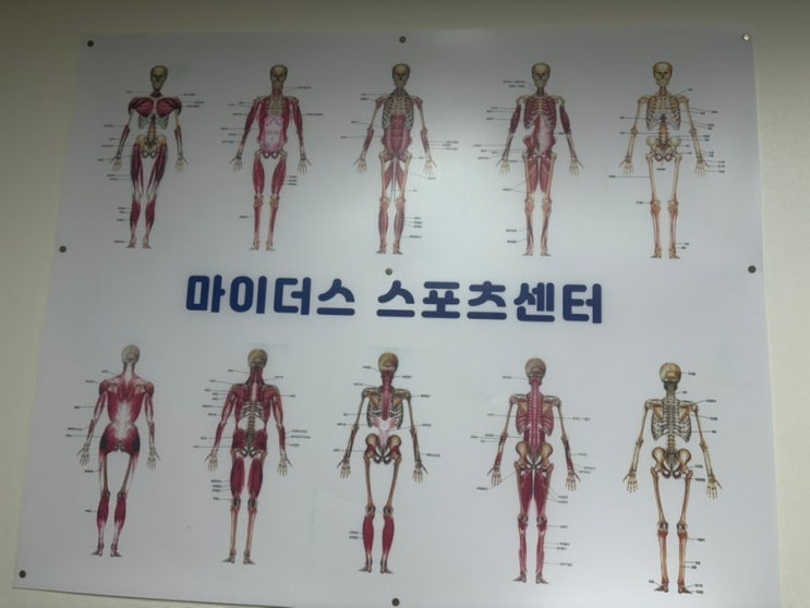  낙성대 마사지샵 추천/조이약손 후기