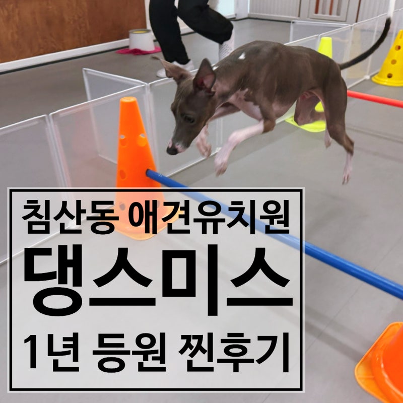 사진 5