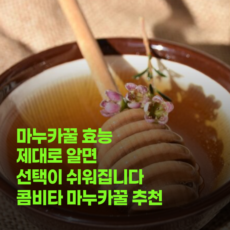 마누카꿀 효능 제대로 알면 선택이 쉬워집니다 콤비타 마누카꿀 추천