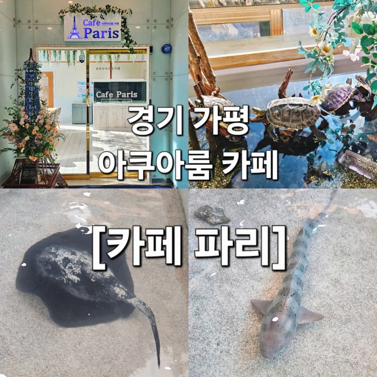  경기 가평 수조 품은 12층 스카이라운지 테마 카페 '카페 파리'