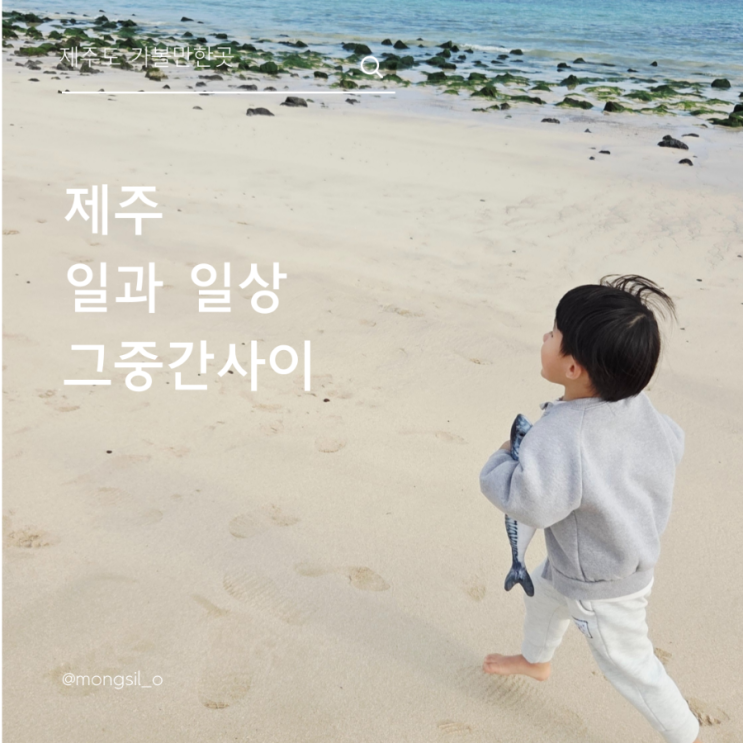  제주인데 오늘도 일, 제주살이와 일의 경계 그 사이