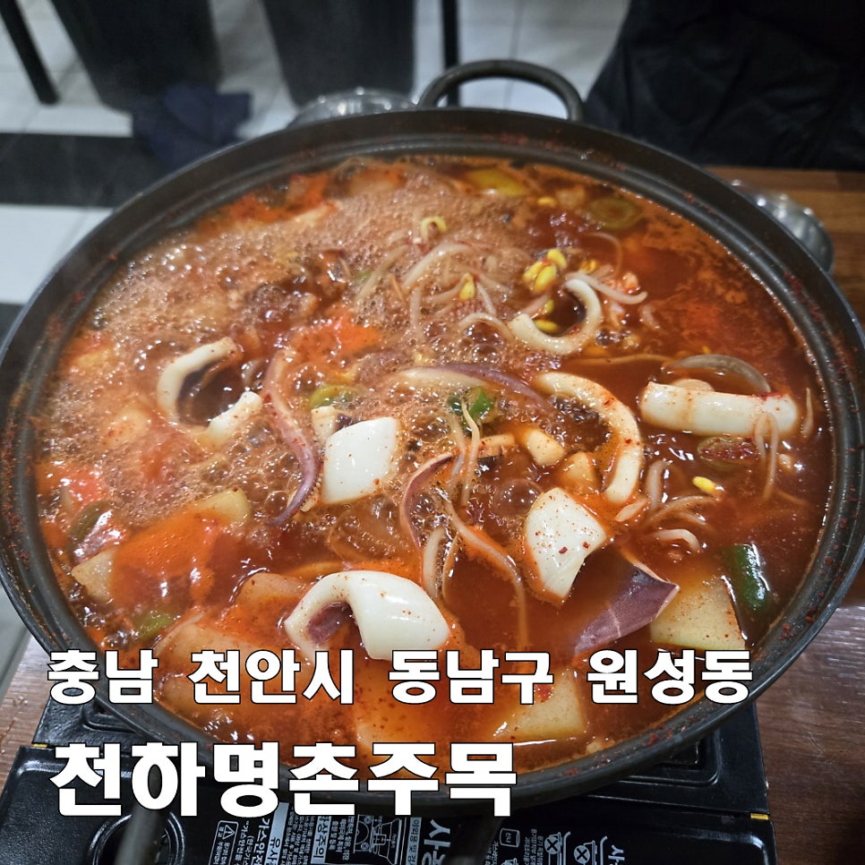 천하명촌주목 사진 1
