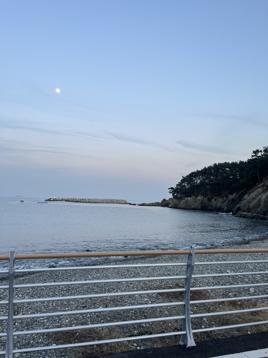 조약돌횟집 사진 3
