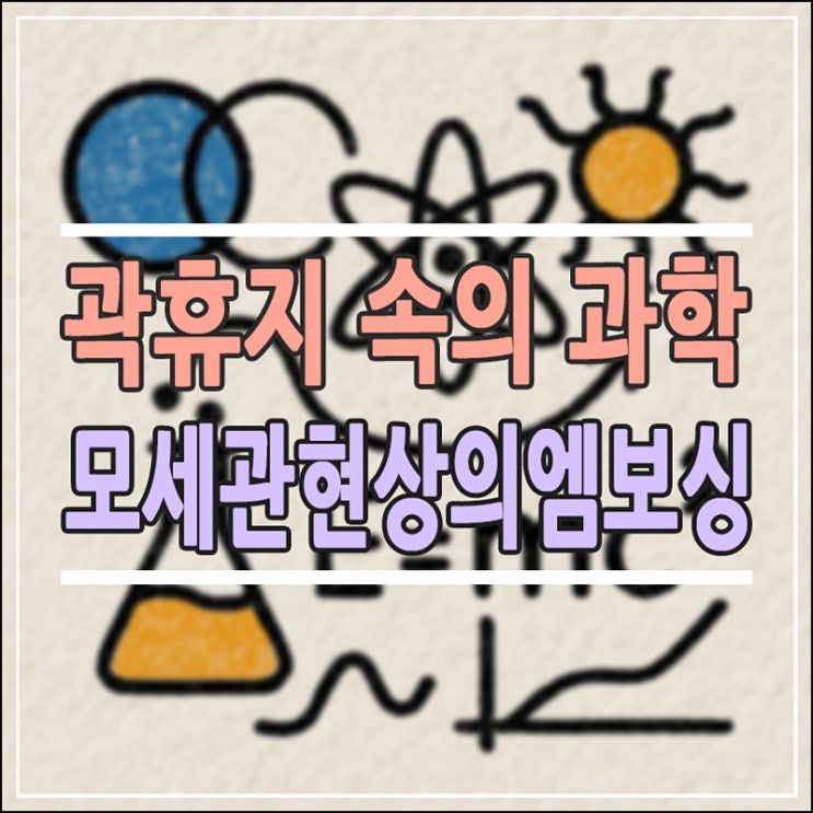 곽휴지의 재발견: 겹겹이 쌓인 모세관 현상과 지속 가능한 자원의 과학