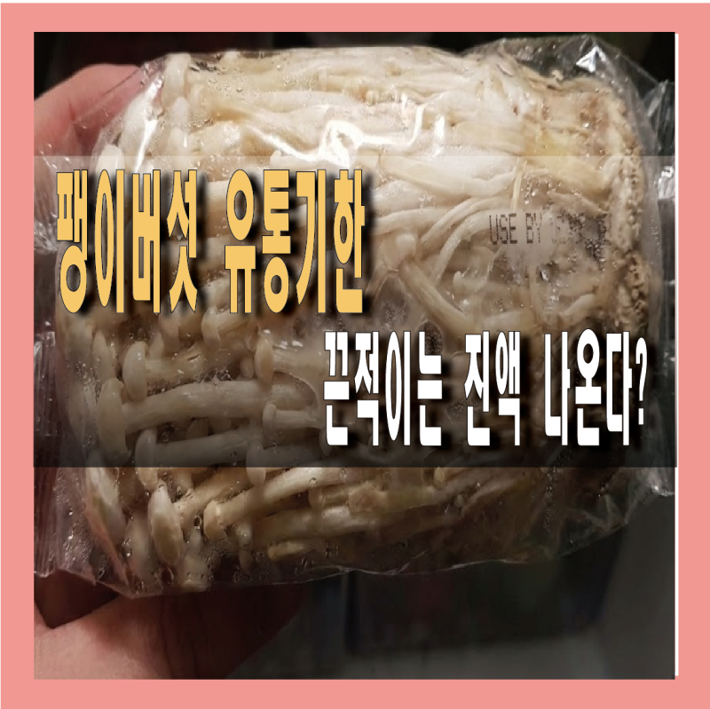 팽이버섯 유통기한, 끈적이는 진액 나오면 즉시 폐기