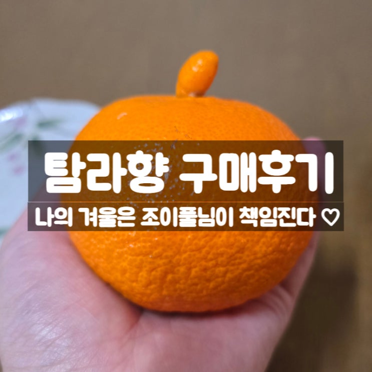  조이풀님 탐라향 구매후기 - 탐라향 효능 보관법 부작용까지
