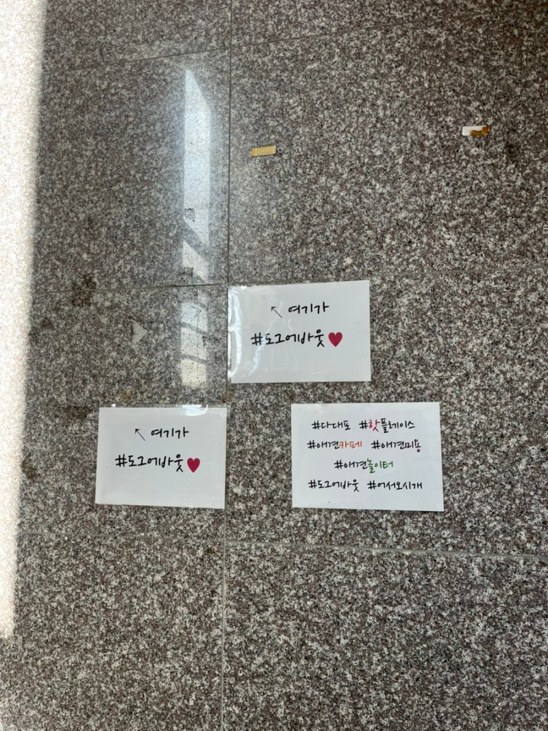 사진 5