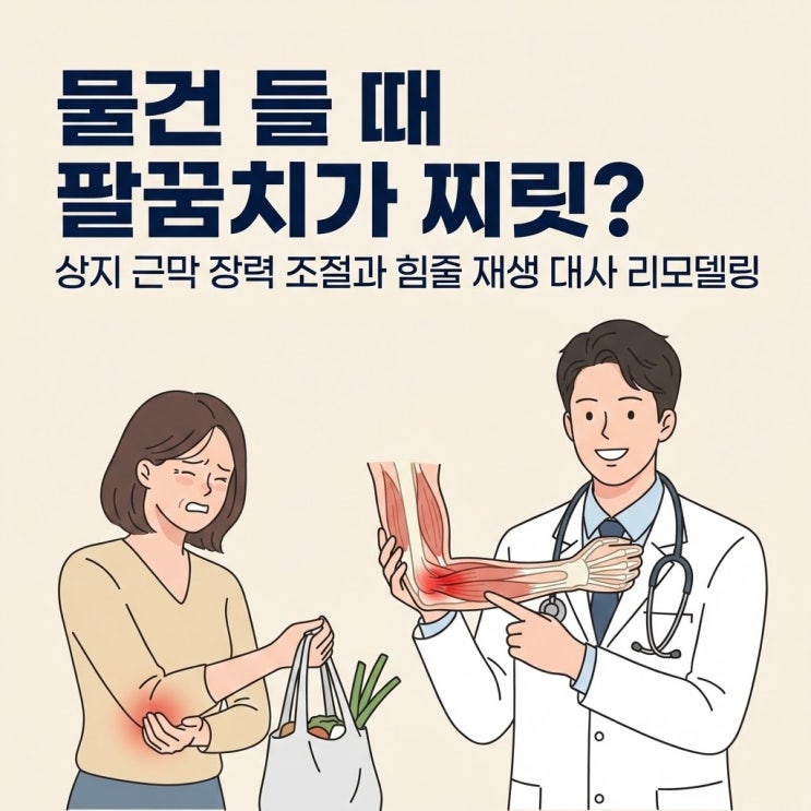  물건 들 때 팔꿈치가 찌릿할 때: 상지 근막 경선과 힘줄 재생 대사 리모델링