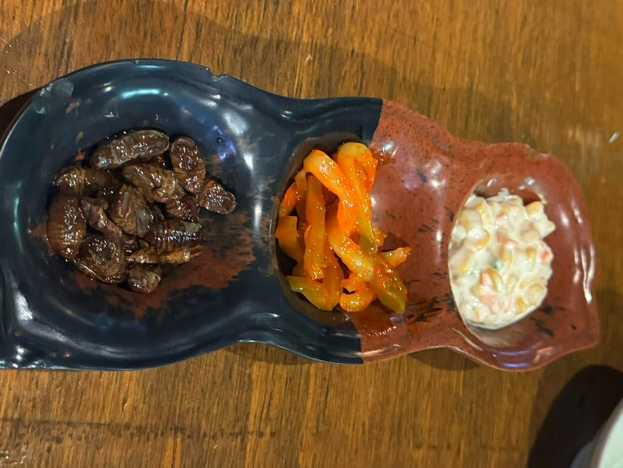 조치조치 사진 4