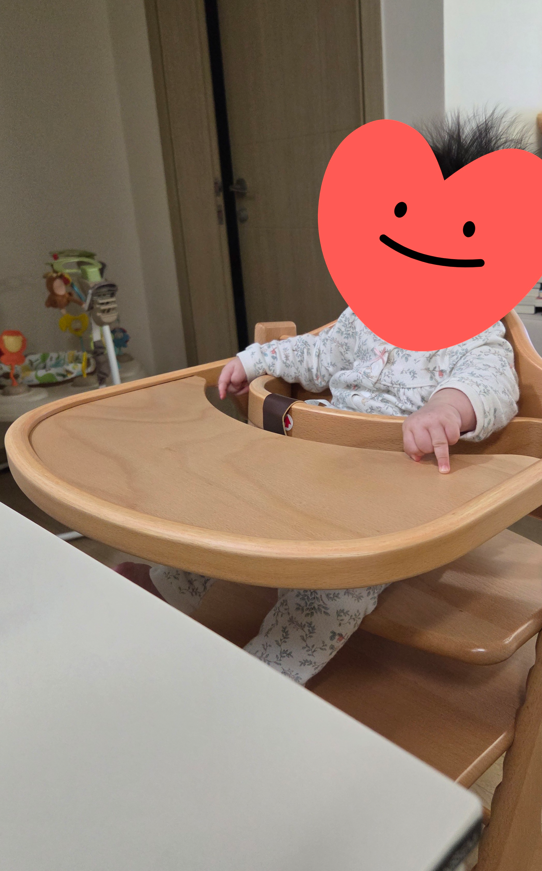 야마토야 뉴마터나 플러스(+안전벨트) 너도 밤나무 원목 아기 하이체어 구매 후기