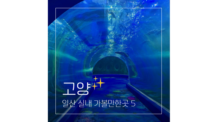  일산 놀거리 겨울철 실내 아이와 가볼만한곳 PICK 5