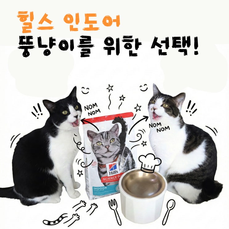  입짧은 뚱냥이가 선택한 힐스 인도어 치킨 고양이사료 솔직후기