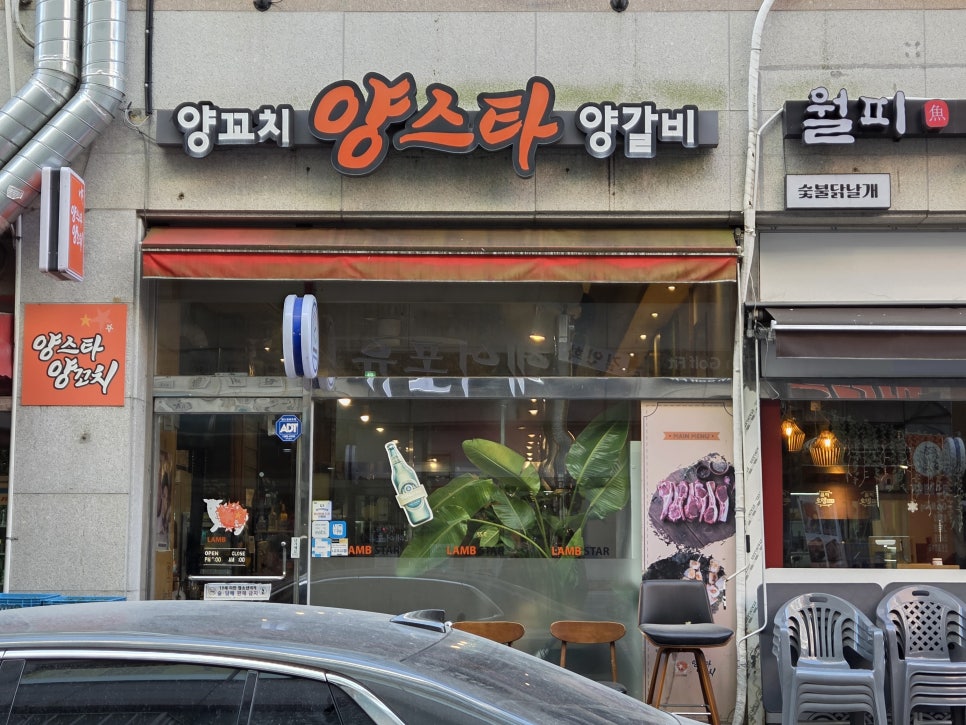 양스타 사진 3