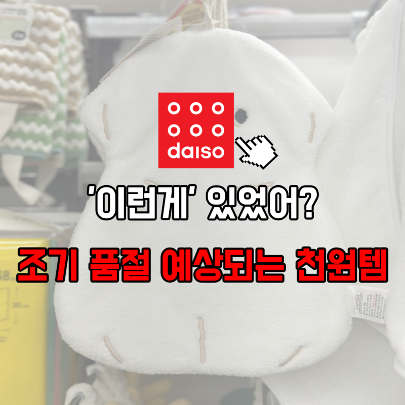 '이런게' 있었어? 조기품절 예상되는 천원템 다이소 추천템 3가지