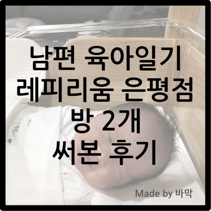  남편 육아일기 레피리움 은평점 방 2개 써본 후기
