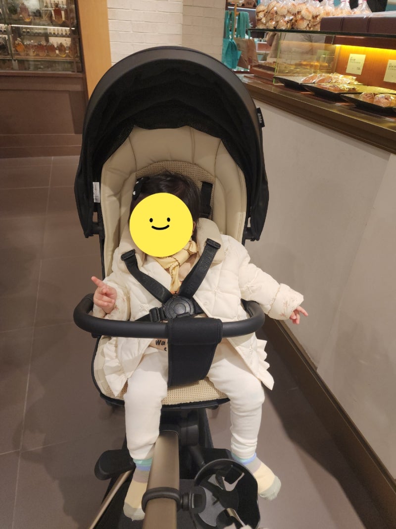 에이블 트라이크 베이비페어 코지쉘 구입후기