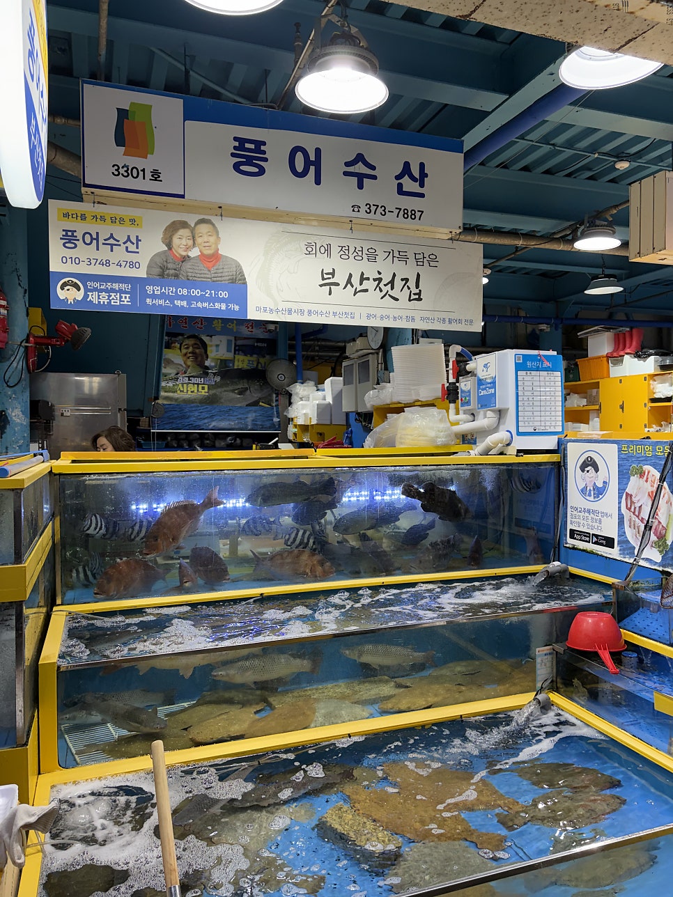 풍어수산 사진 6