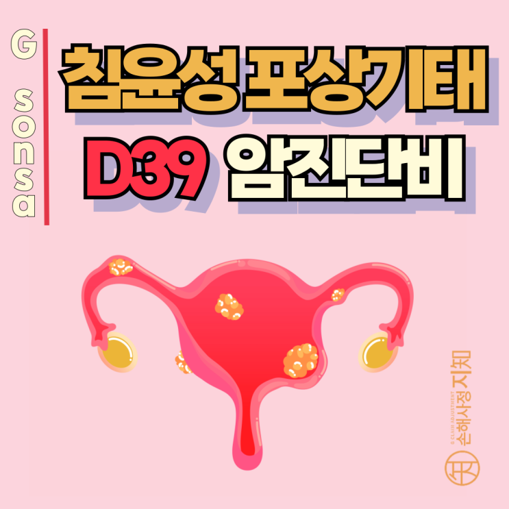  침윤성 포상기태 D39인데 암진단비 안 준다고요? 핵심 포인트 정리