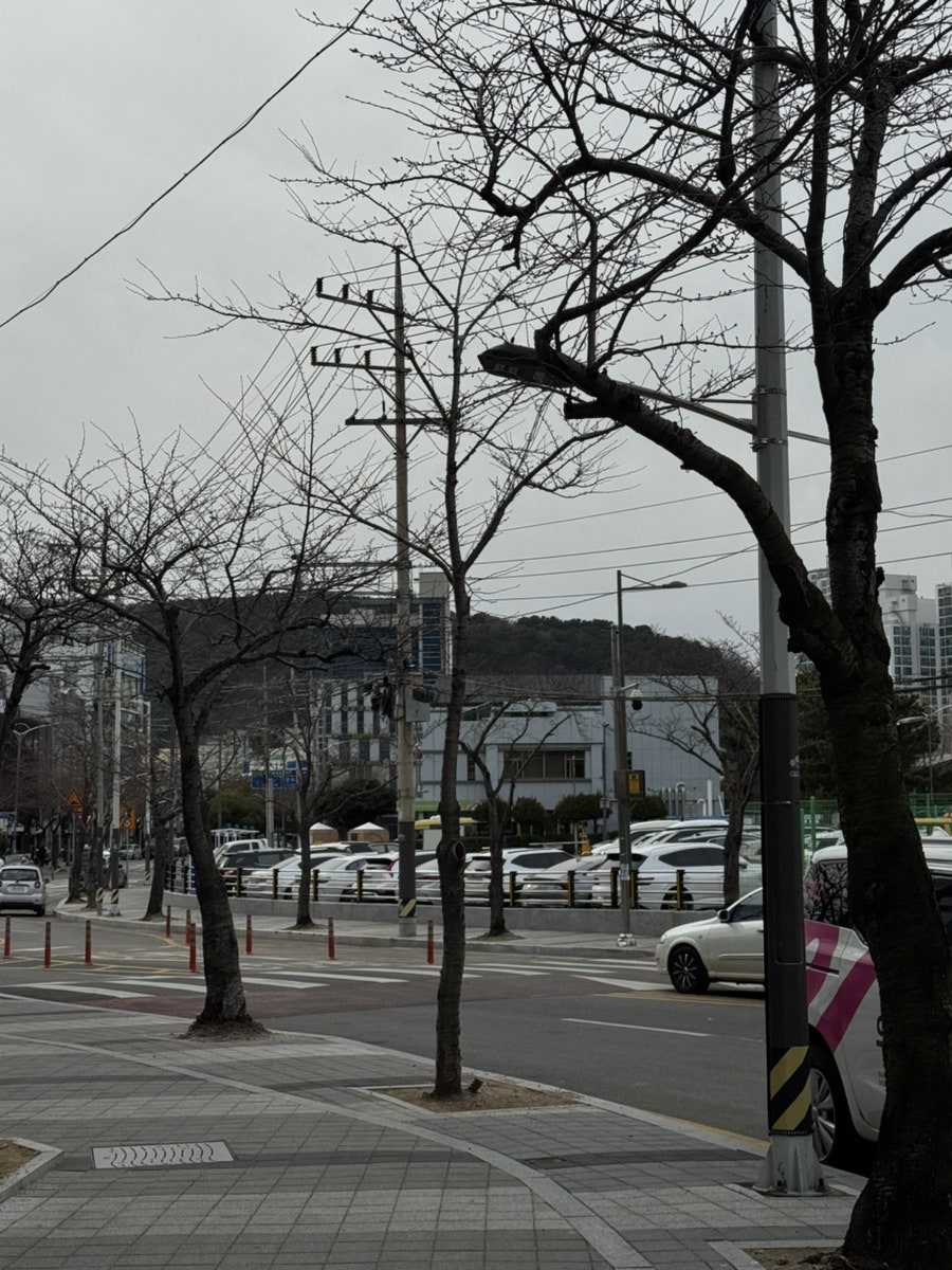 카츠야 사진 2