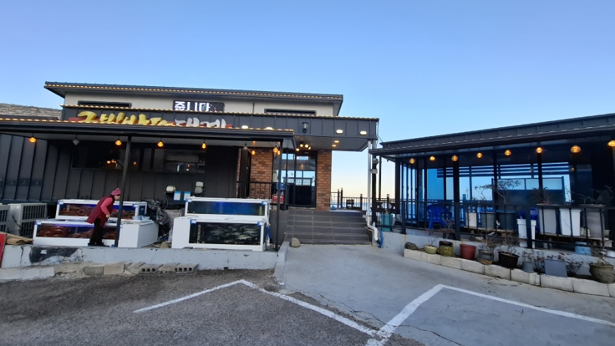 금빛바다대게 사진 1