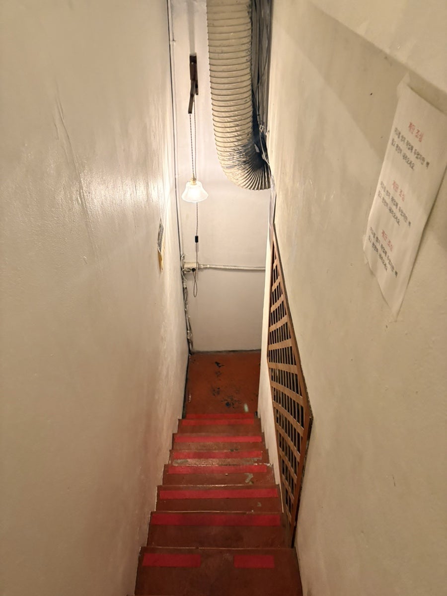 보거스 사진 5
