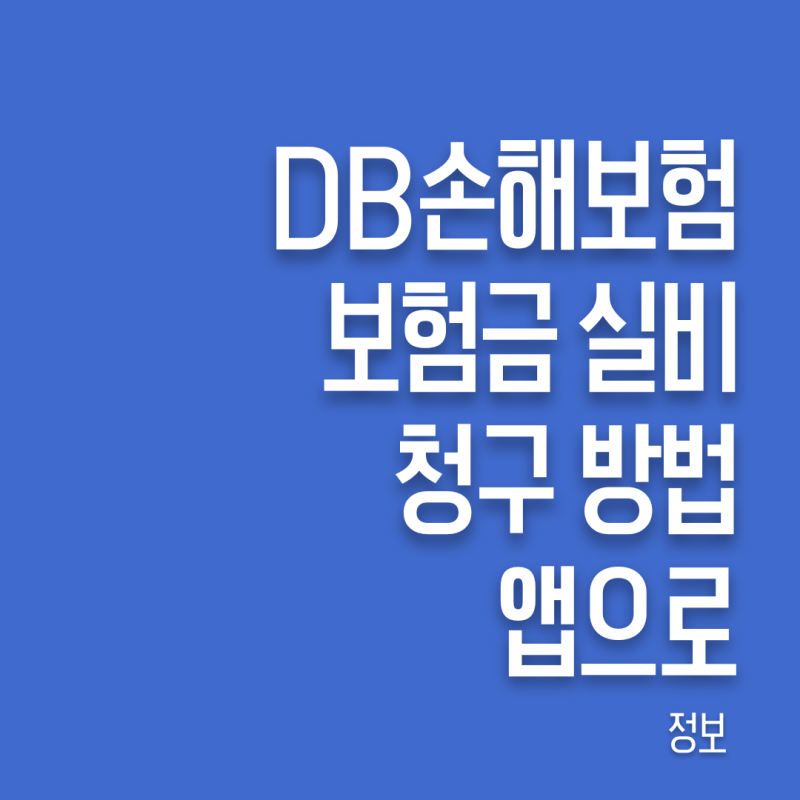 DB손해보험 보험금 실비 청구 방법 (앱으로)｜서류 준비부터 접수까지