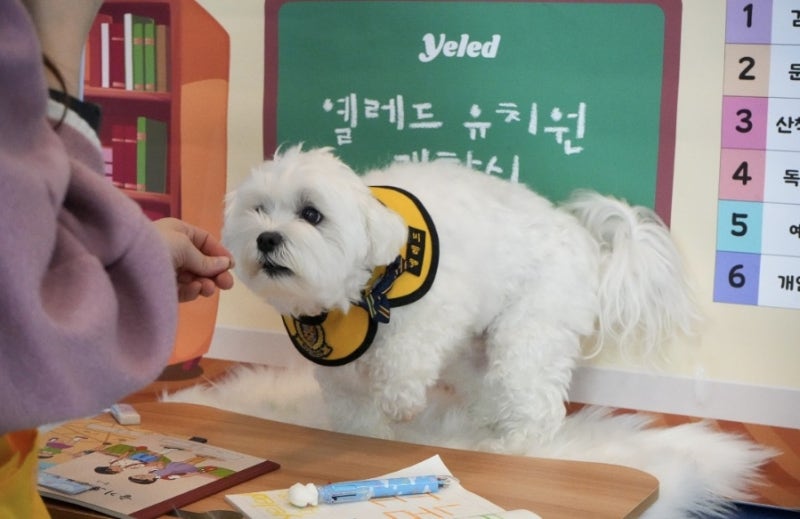 사진 5