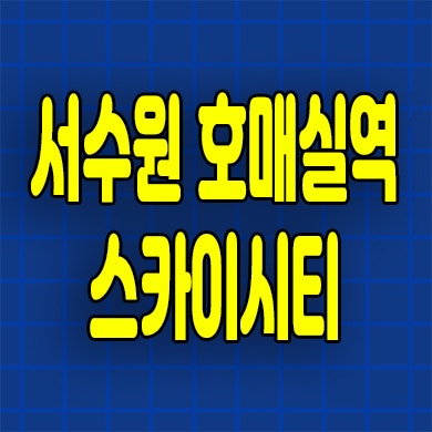  서수원 금곡동 즉시입주 오피스텔 호매실역 스카이시티 투룸 잔금유예