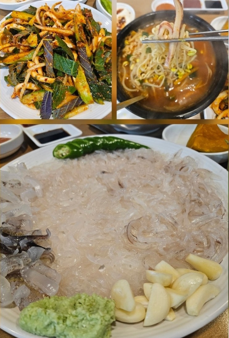  대전 오징어회 맛집 "남해 산오징어" | 오징어회+오징어무침+짬뽕라면 삼종세트 먹방 후기