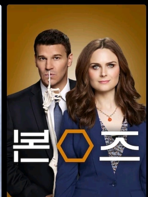 넷플릭스 미국 드라마 본즈(Bones) 정주행 가이드 뼈로 말하는 진실, 12시즌 레전드 수사물