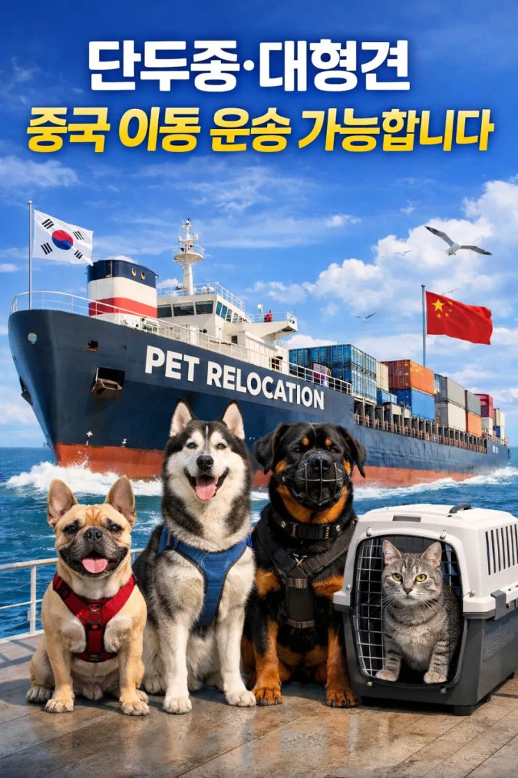  강아지 고양이 반려동물 초대형견 중국 운송 단두종·대형견 항공사 거절? 한국–중국 반려동물 이동 가능한 방법 있습니다