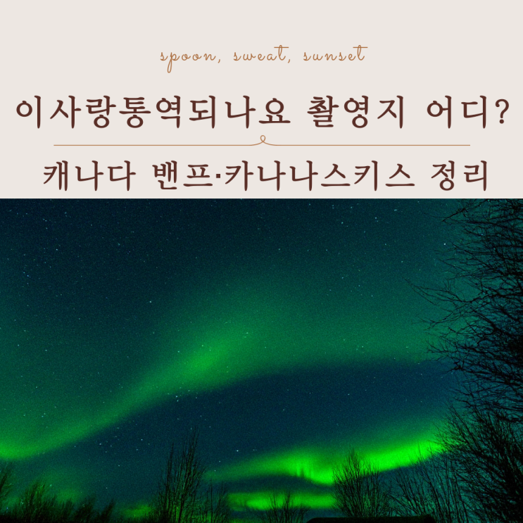  이사랑통역되나요 캐나다 오로라 촬영지 총정리｜밴프,카나나스키스