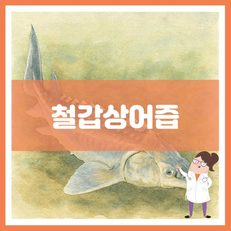  철갑상어즙 효능 섭취방법 부작용