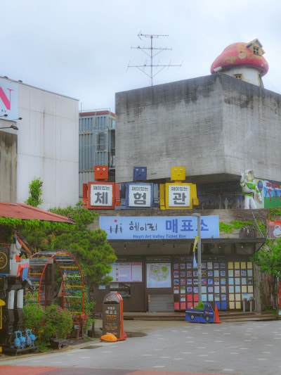 사진 6