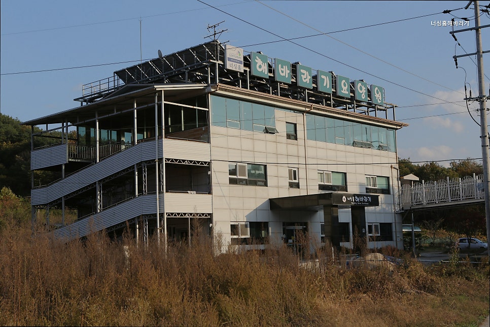 너싱홈해바라기 사진 1