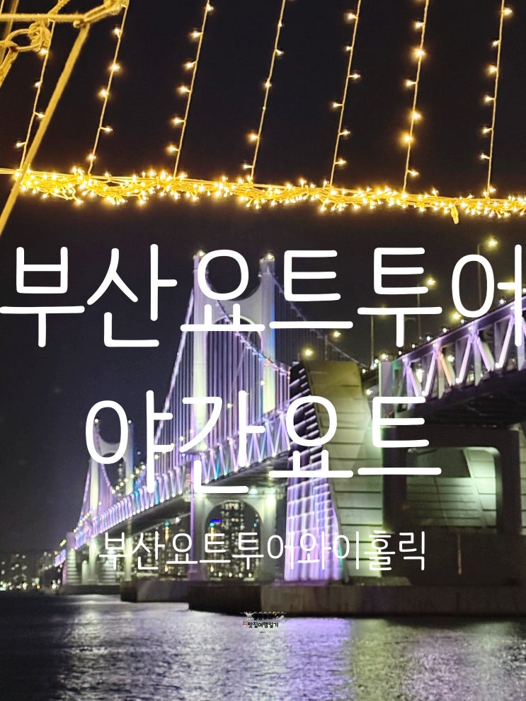  [광안리 요트투어] 와이홀릭 부산, 요트투어 가격·야간 후기