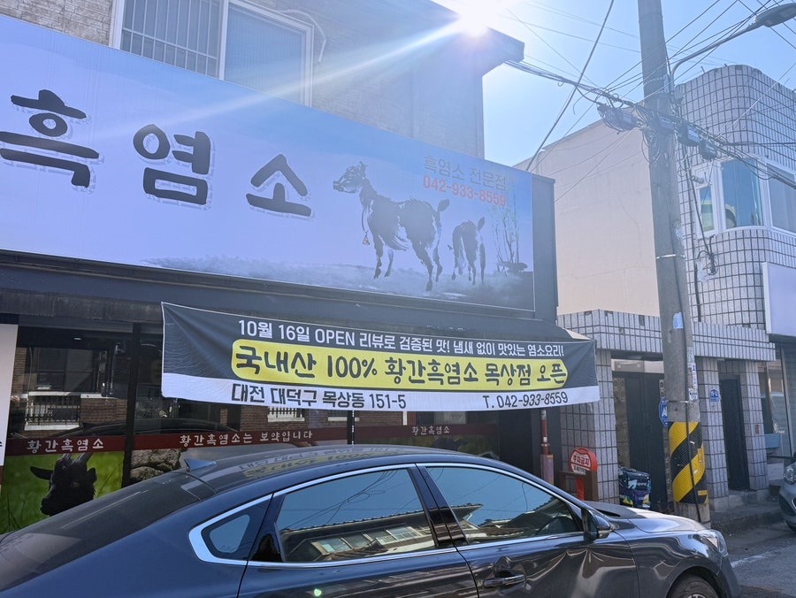 황간흑염소 사진 2