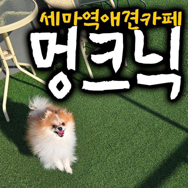 사진 3