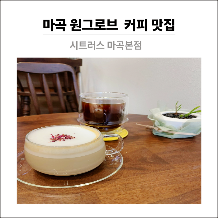 사진 4