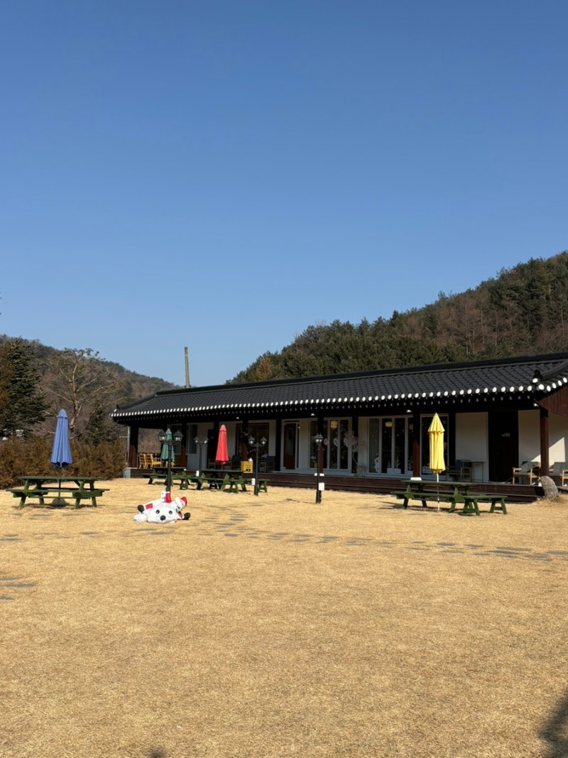 사진 3