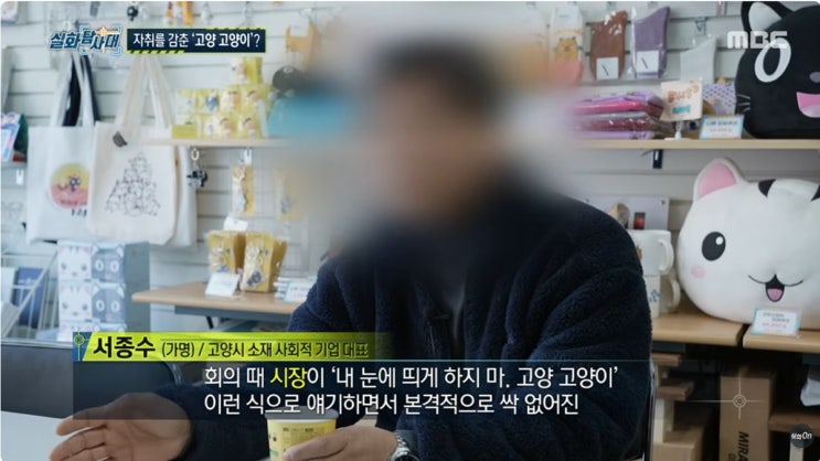  고양특례시 ‘고양 고양이’ 지우기 논란… 민경선 “보존 조례 만들자”