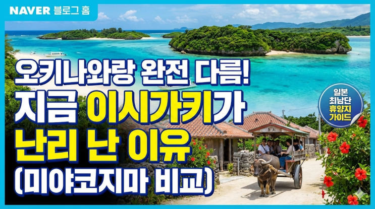  ️ 일본 여행 고수들만 몰래 가던 '이시가키', 왜 지금 난리일까요?