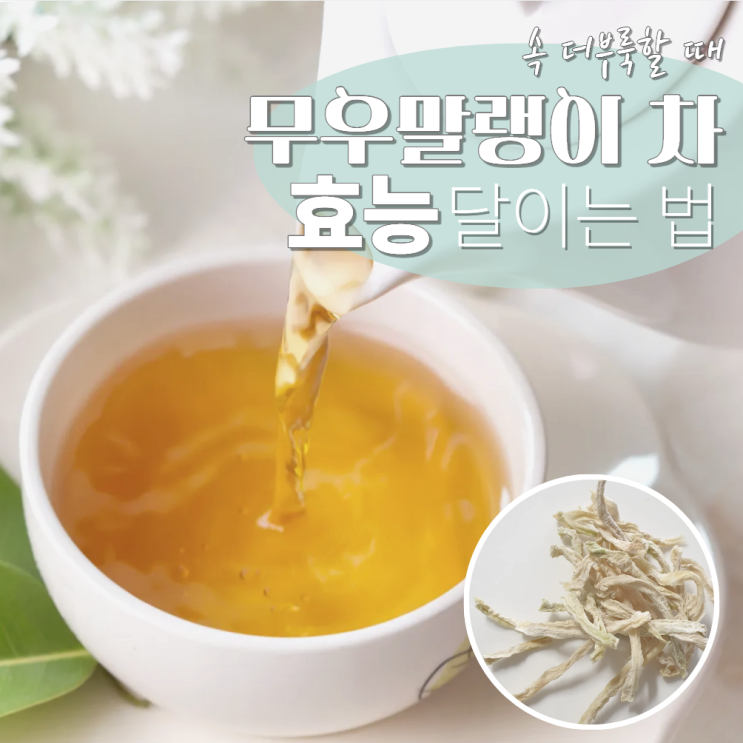  무우말랭이차 효능 부작용 달이는법