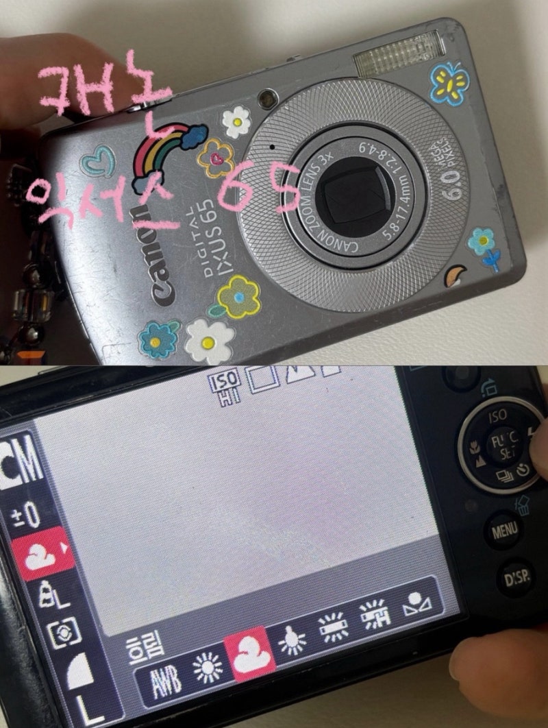 [사진] 캐논 익서스 65 1년 사용,자세한 설정법 | 필카같은 디카 추천,흐림필터